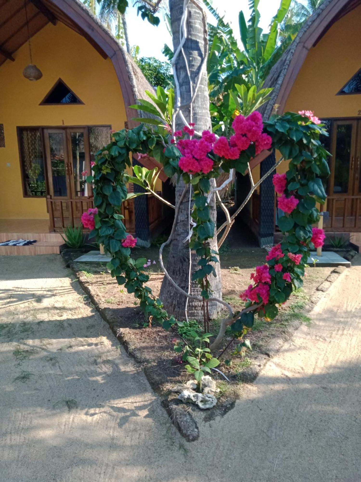 Ofal Lumbung Gili Air Luaran gambar